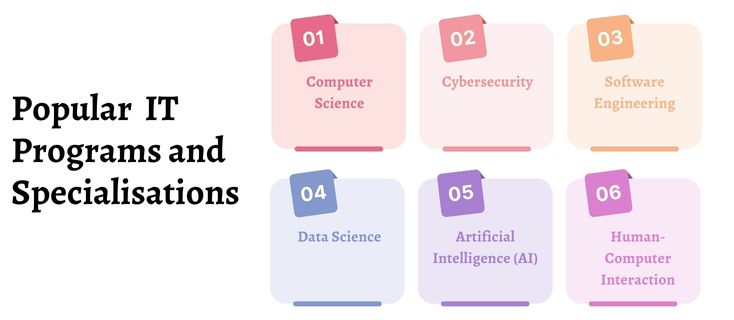 Popular IT Programs and Specialisation